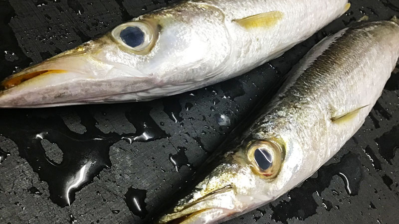 料理イメージ